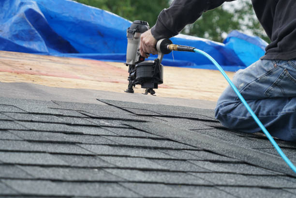 Best Roof Gutter Cleaning  in Anderson, SC